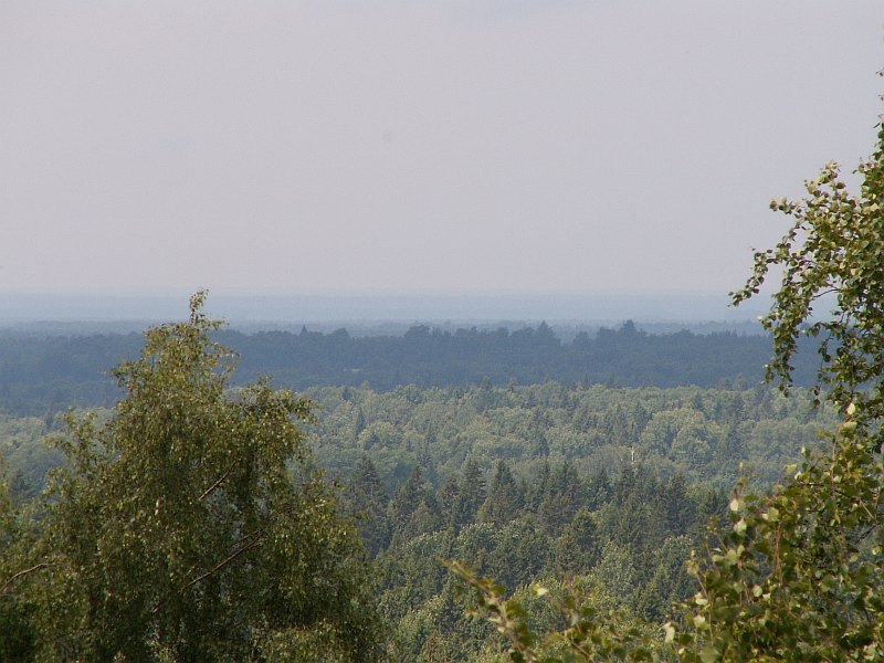 Тархов холм 0