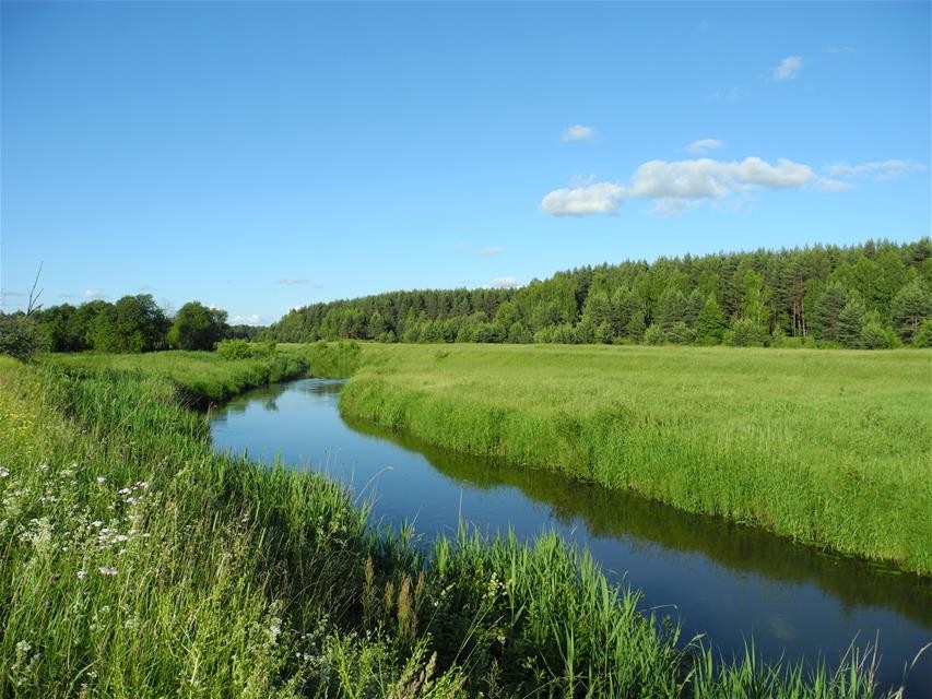 Сарское городище 0